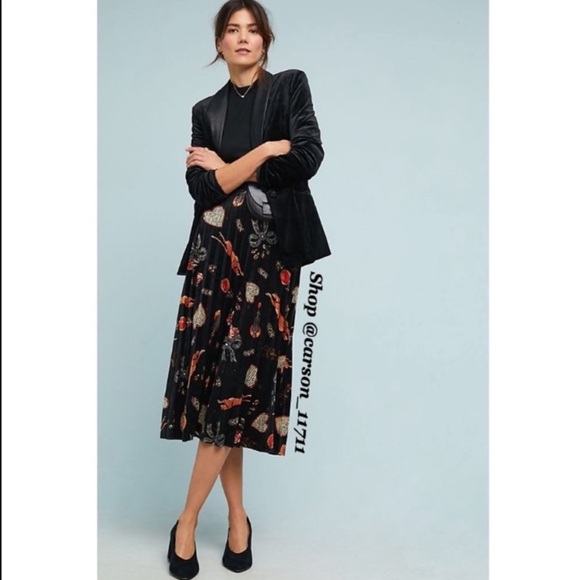 Anthropologie Dresses & Skirts - 🦄RARE NWT Anthropologie Montparnasse Skirt XSP